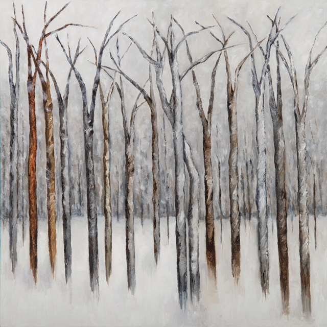 midwest nature  exhibition gallery view